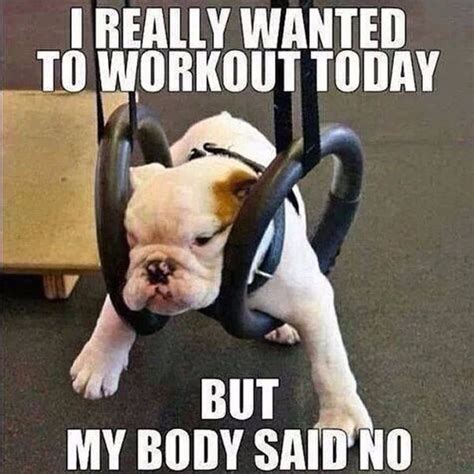 Workout Memes & Funny Exercise Memes