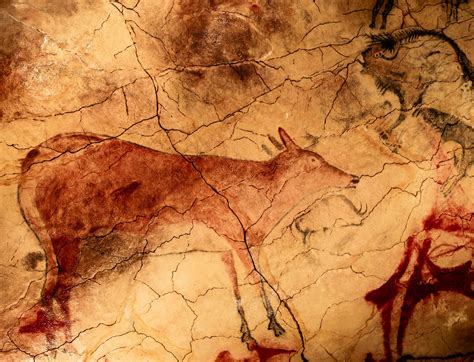 Caracteristicas Da Arte Rupestre - 9