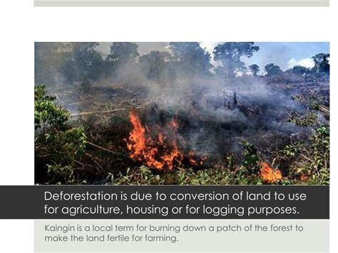 environmental issues   philippines powerpoint