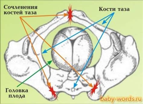 Золотник-что это? Такой вопрос я часто слышу ,когда предлагаю пациенту ...