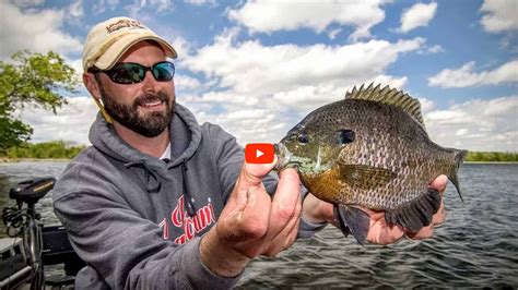 panfish  giant bluegill tactics   angling edge