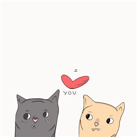 Cute Cat Couple Gifs