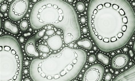 Microorganisms by *OutsideFate on deviantART | Microorganisms, Organic ...