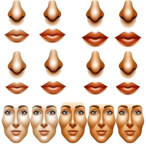 nose png vectors illustrations