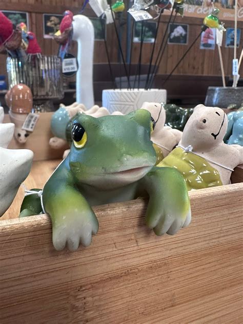 Rosemount Nursery - Can’t wait to see our new buses on the road, if