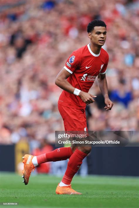 Cody Gakpo of Liverpool looks on during the Premier League match ...
