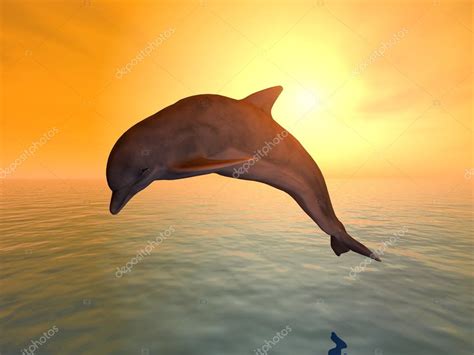 Jumping Dolphin — Stock Photo © mic1805 #24576707