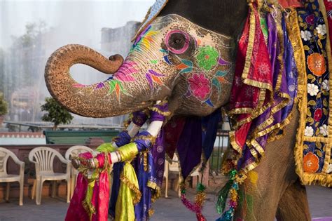 The Beauty of India : Amazing Photos - The amazing India