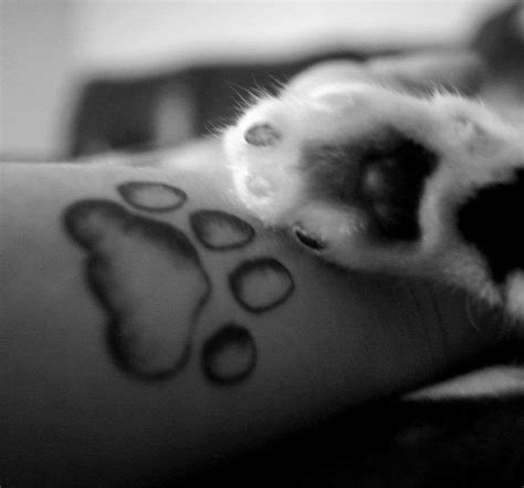 Cat Paw Tattoo by KiyiyaHowlingWolf : r/catpawtouches