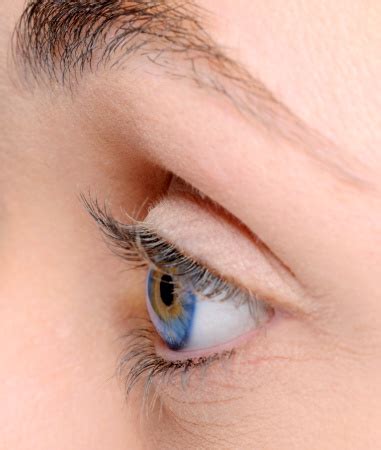 side eye pictures   images  unsplash