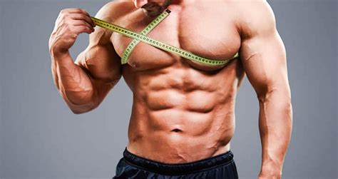 nutrition tips  intelligent muscle growth