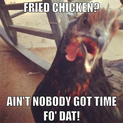 20 Chicken Memes That Are Surprisingly Funny - SayingImages.com