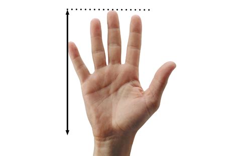 Penguin Ambidextrous Vertical Mouse from Posturite