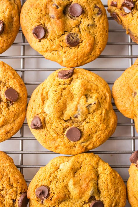 Pumpkin Chocolate Chip Cookies - Recipe Boy