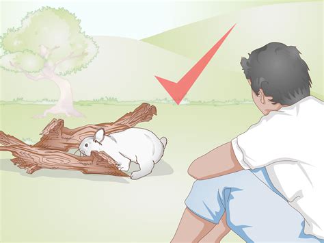 ways to rabbit losing weight for beginners 9
