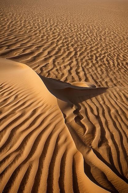 Premium Photo | Desert of North Africa sandy barkhans