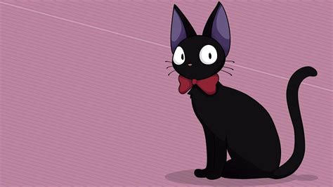 Jiji Cat Wallpapers - Top Free Jiji Cat Backgrounds - WallpaperAccess