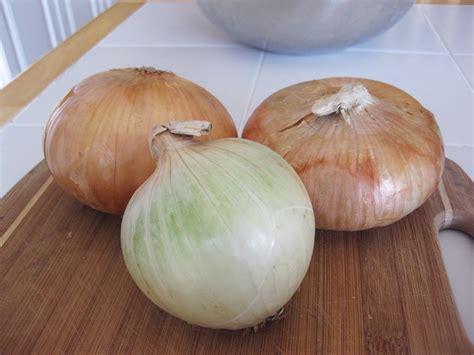 Discover the Secret Onion Links to Alphabay!