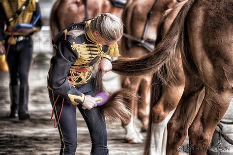 Royal polo - polo, royal, Loo, paarden, wedstrijd, koninklijk