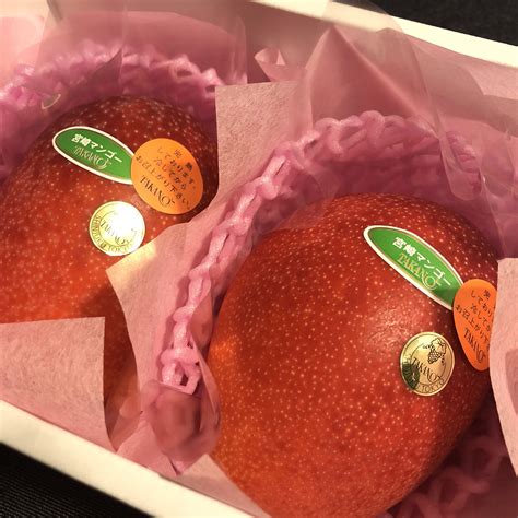 Mistress Youko 妖湖女王様🇯🇵 on Twitter: "マゾ達から頂く高野のフルーツ達で季節の移り変わりを感じます。もう