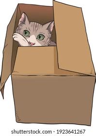 Illustration Cat Inside Cardboard Box Vector Stock Vector (Royalty Free ...