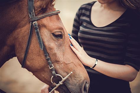 Do You Know Horse Speak?A Healing Collective