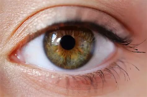 What's the difference between hazel eyes and dark green eyes? - Quora ...