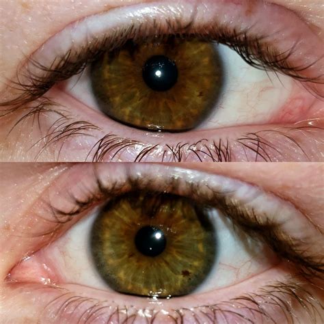 Top 90+ Pictures Pictures Of Hazel Eyes Completed