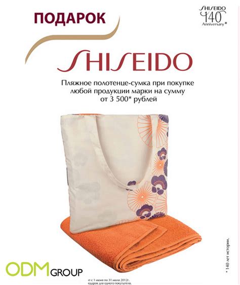 Shisedo Russia - Towel and Bag in One