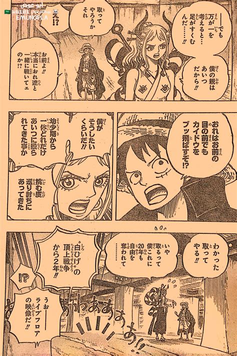 Spoil PIC One piece 985