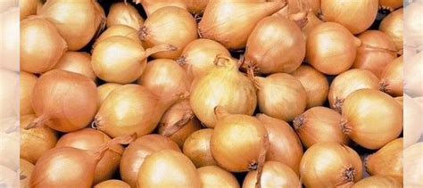 Лук выборка купить в Батырево | Товары для дома и дачи | Авито