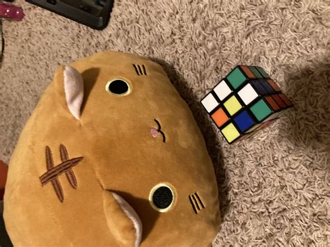 Cube cat Blank Template - Imgflip
