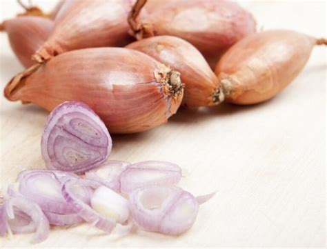 O Que É Chalota Na Culinária - 6 tipos de chalota: o que é, características, usos e informações