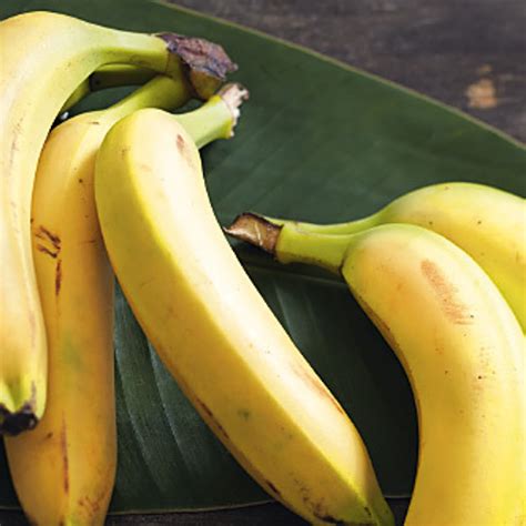 Bananen: Rezepte von Backen bis Kochen | Schrot&Korn