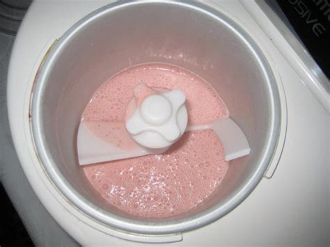 Erdbeer Eis - einfach - von strammermax