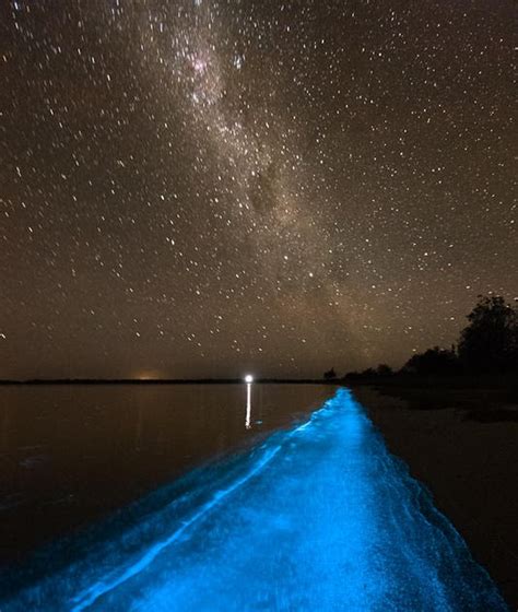 My Images Folder: Bioluminescent Phytoplankton