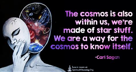 The cosmos is also within us, we're made of star stuff. We are a way ...