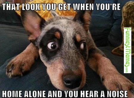 50+ Funniest Being Alone Memes That Will Make You Laugh