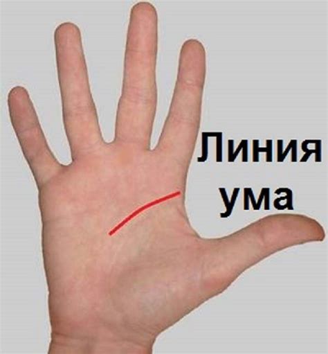 Как гадать по руке