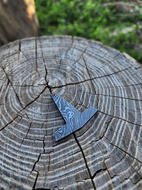 Faydwynn Morningstar added a new photo. - Faydwynn Morningstar