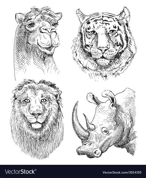 Set of safari head animals black and white sketch Vector Image