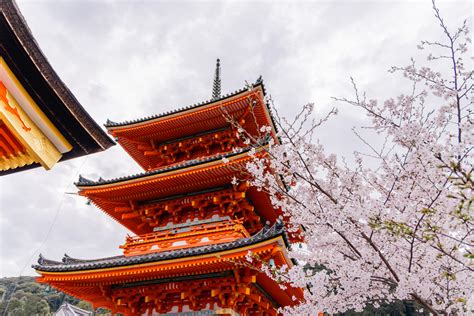 Kiyomizu-dera Temple Admission Fees and Opening Hours | Latest