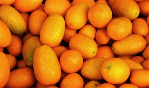 Безплатна снимка : растение, плодове, зрънце, храна, продукция ...
