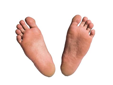 foot  pair  bare feet  isolated background  png