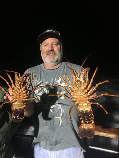 Gail Force - Triton Lobster Report | Bloodydecks