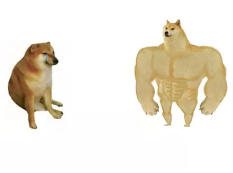 buff doge vs cheems reversed Blank Template - Imgflip