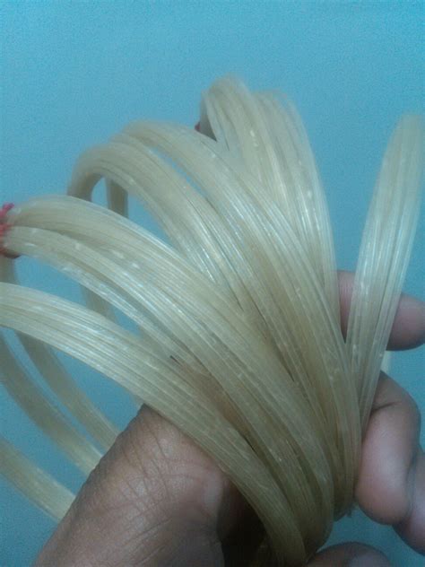 TENNIS NATURAL GUT STRING