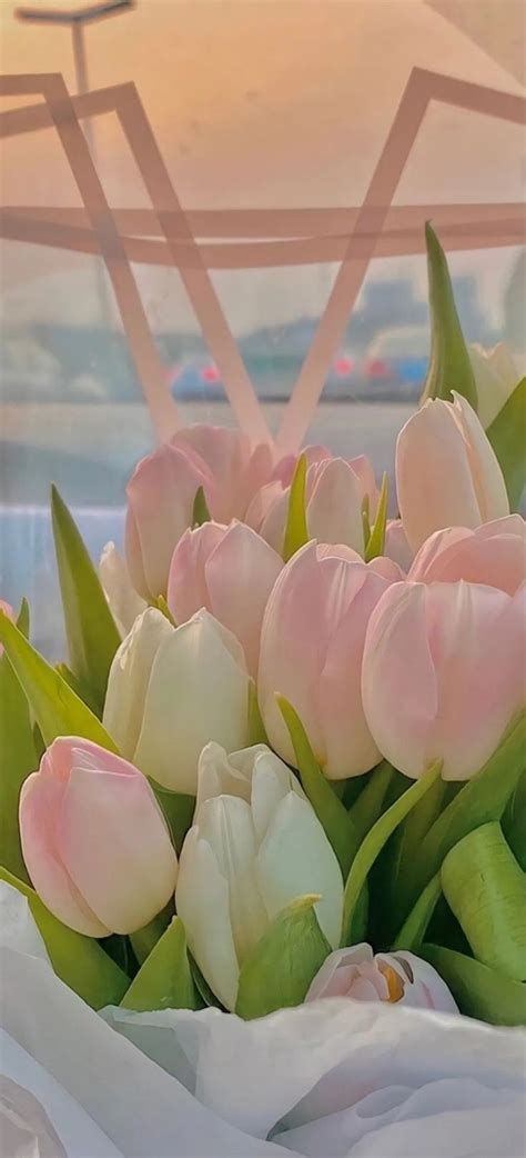 pin  raisa van wieren  flower aesthetic pretty flowers pink