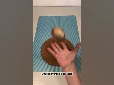 Косточка авокадо #shorts #авокадо #avocado #косточка - YouTube