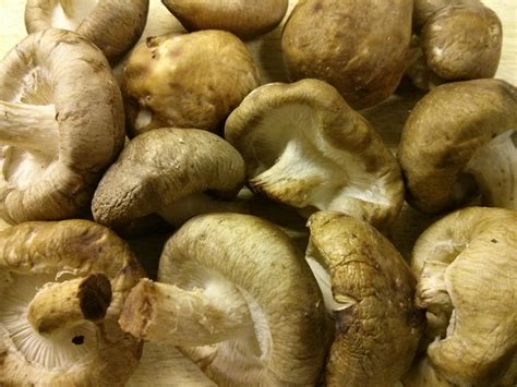 5 great kitchen habits for 2015